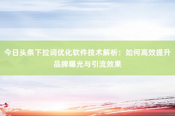 今日头条下拉词优化软件技术解析：如何高效提升品牌曝光与引流效果