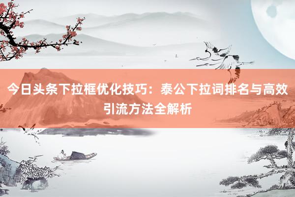 今日头条下拉框优化技巧：泰公下拉词排名与高效引流方法全解析