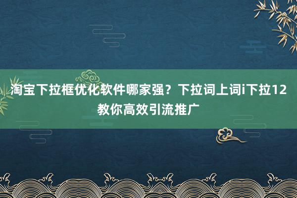 淘宝下拉框优化软件哪家强？下拉词上词i下拉12教你高效引流推广