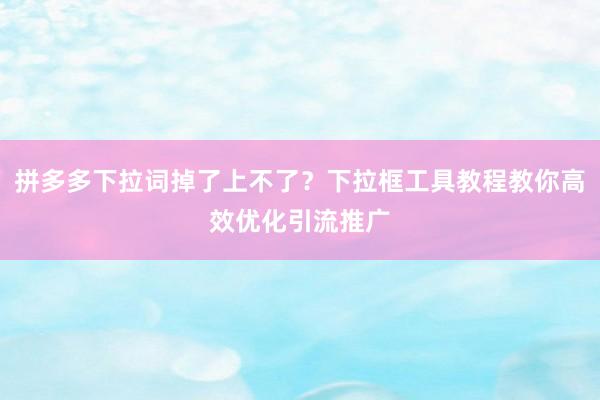 拼多多下拉词掉了上不了？下拉框工具教程教你高效优化引流推广