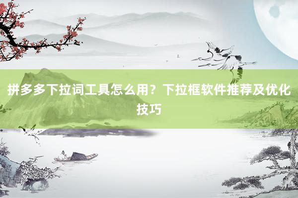 拼多多下拉词工具怎么用？下拉框软件推荐及优化技巧