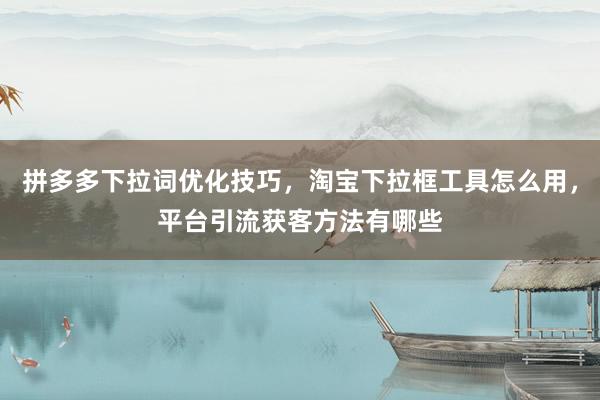 拼多多下拉词优化技巧，淘宝下拉框工具怎么用，平台引流获客方法有哪些