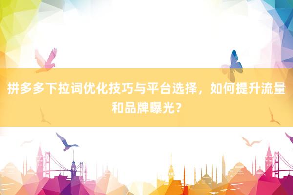 拼多多下拉词优化技巧与平台选择，如何提升流量和品牌曝光？