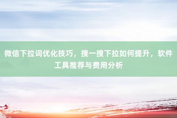 微信下拉词优化技巧，搜一搜下拉如何提升，软件工具推荐与费用分析