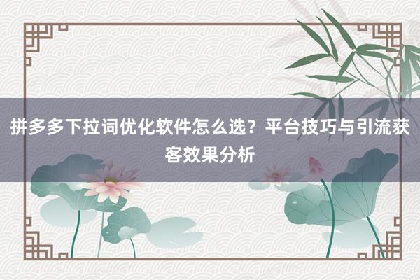 拼多多下拉词优化软件怎么选？平台技巧与引流获客效果分析