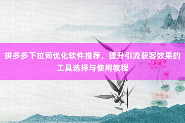 拼多多下拉词优化软件推荐，提升引流获客效果的工具选择与使用教程
