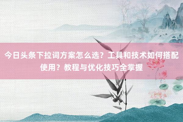 今日头条下拉词方案怎么选？工具和技术如何搭配使用？教程与优化技巧全掌握
