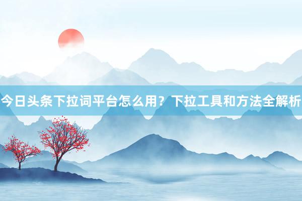 今日头条下拉词平台怎么用？下拉工具和方法全解析