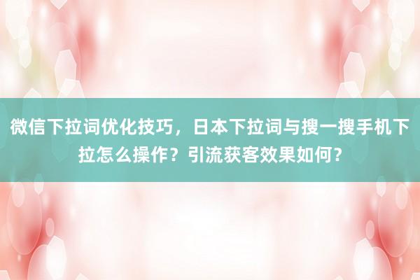 微信下拉词优化技巧，日本下拉词与搜一搜手机下拉怎么操作？引流获客效果如何？