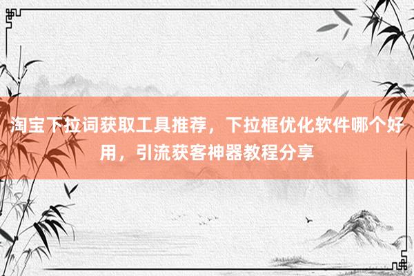 淘宝下拉词获取工具推荐，下拉框优化软件哪个好用，引流获客神器教程分享