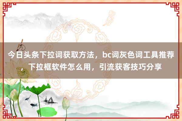 今日头条下拉词获取方法，bc词灰色词工具推荐，下拉框软件怎么用，引流获客技巧分享