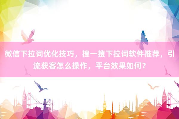 微信下拉词优化技巧，搜一搜下拉词软件推荐，引流获客怎么操作，平台效果如何？