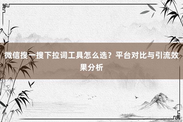 微信搜一搜下拉词工具怎么选？平台对比与引流效果分析