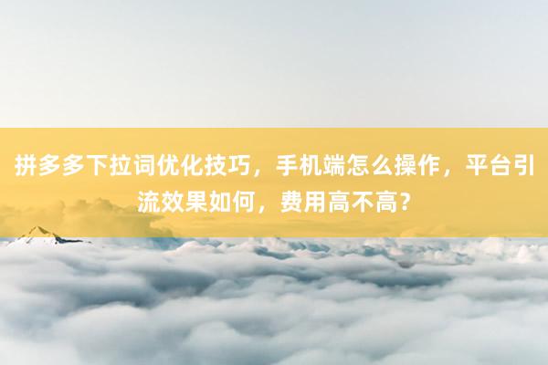 拼多多下拉词优化技巧，手机端怎么操作，平台引流效果如何，费用高不高？