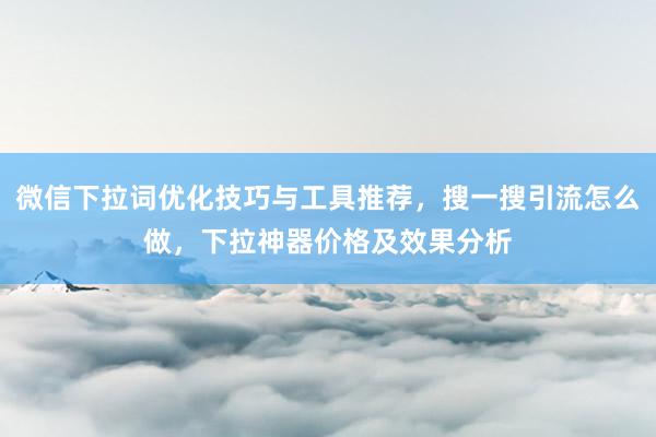 微信下拉词优化技巧与工具推荐，搜一搜引流怎么做，下拉神器价格及效果分析