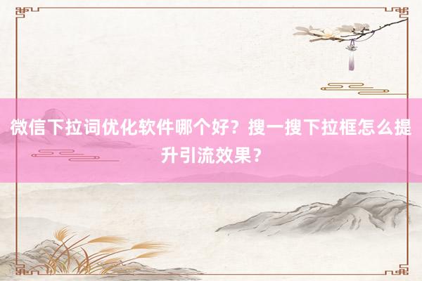 微信下拉词优化软件哪个好？搜一搜下拉框怎么提升引流效果？