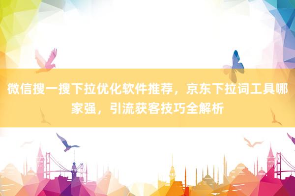 微信搜一搜下拉优化软件推荐，京东下拉词工具哪家强，引流获客技巧全解析